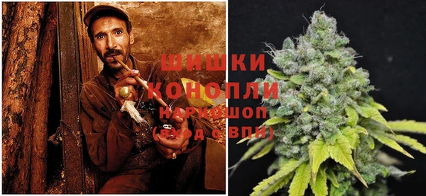 трава Мегион