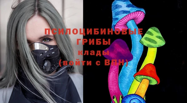 не бодяженный Медвежьегорск