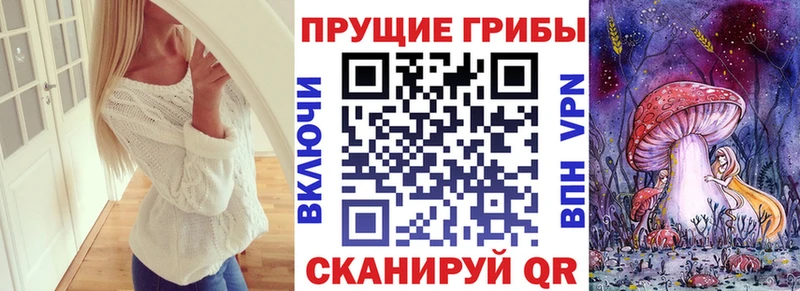 что такое Фурманов Галлюциногенные грибы GOLDEN TEACHER