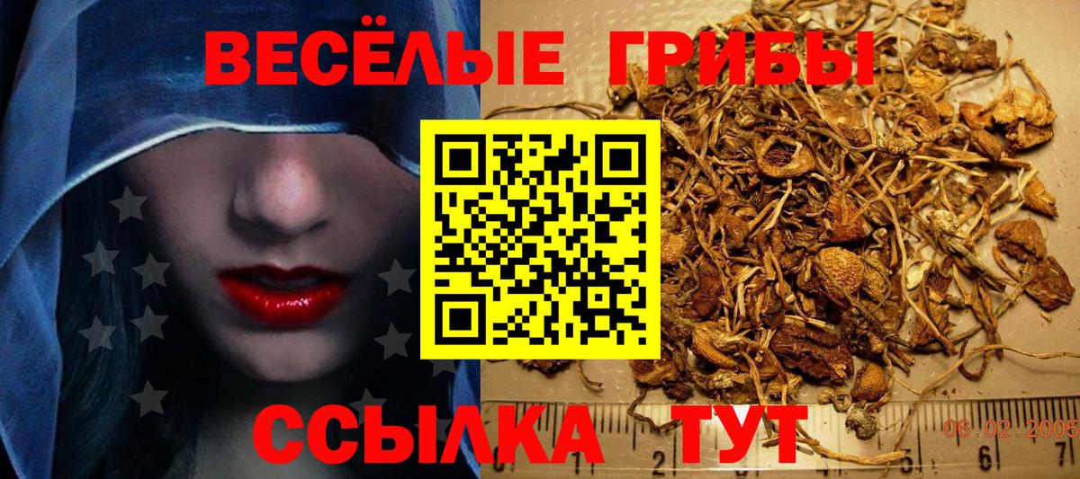 Фурманов  Галлюциногенные грибы Magic Shrooms  Псилоцибиновые грибы Magic Shrooms  Вход с VPN 